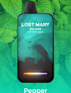 LOST MARY BM16000 - Pepper Mint