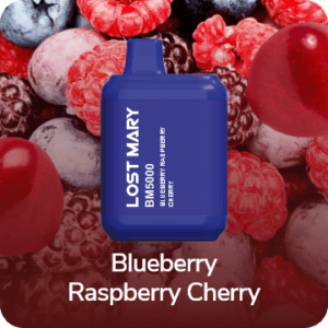 LOST MARY BM5000 - Blueberry Raspberry Cherry